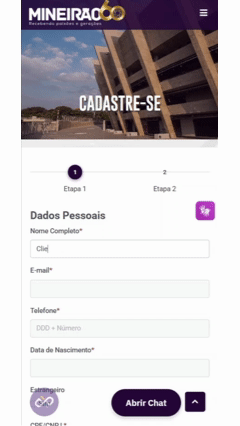 Ilustração com diversos dados do Mineirão
